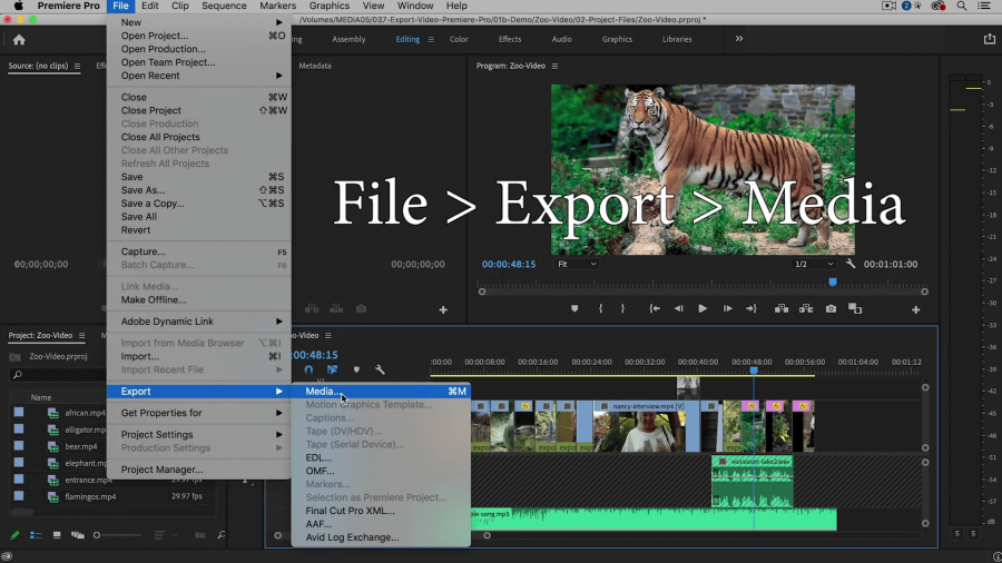 best file time to edit in adobe preiere