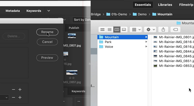 adobe bridge batch rename
